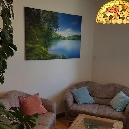Ferienwohnung Alte-Schule-Kail Wohnung 2 المظهر الخارجي الصورة