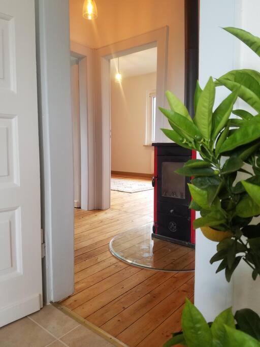 Ferienwohnung Alte-Schule-Kail Wohnung 2 المظهر الخارجي الصورة