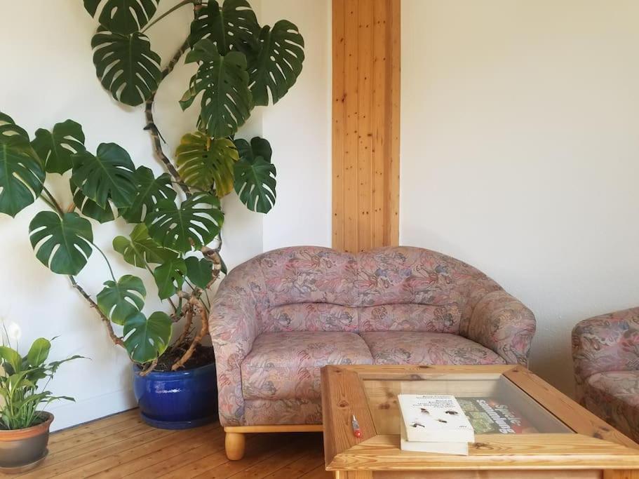Ferienwohnung Alte-Schule-Kail Wohnung 2 المظهر الخارجي الصورة
